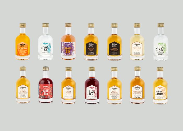 Zwölf Miniaturflaschen diverser Spirituosen, in zwei Reihen aufgereiht. Die Flüssigkeiten variieren in Farbe von klar bis dunkelrot. Jede Flasche trägt ein Etikett mit Namen wie Gin, Rum, Wodka und Whisky.